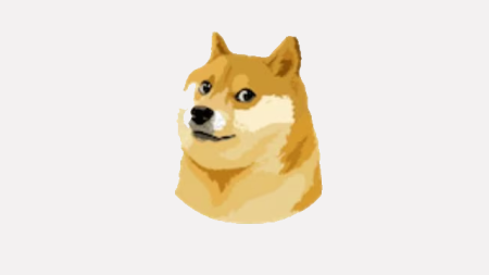 chatdoge